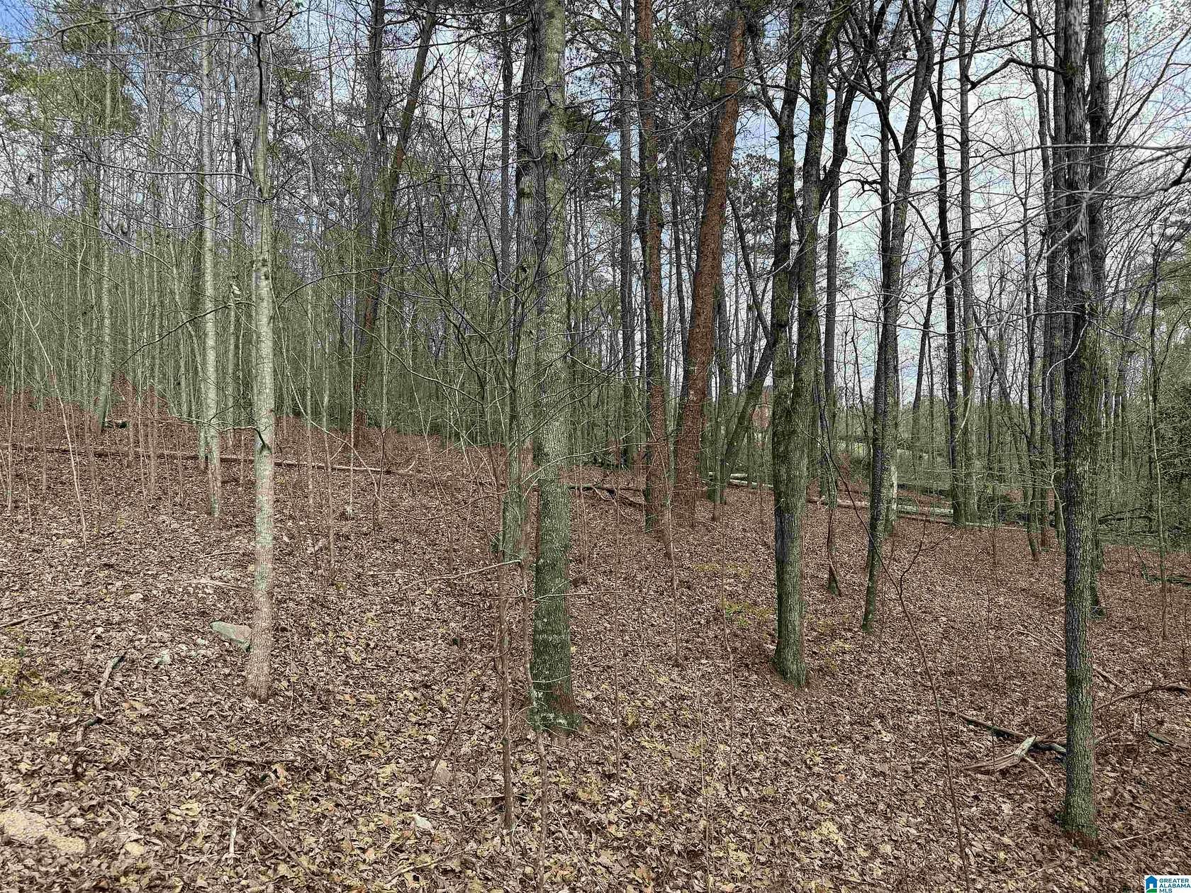 2.44 Acres of Residential Land for Sale in Columbiana, Alabama