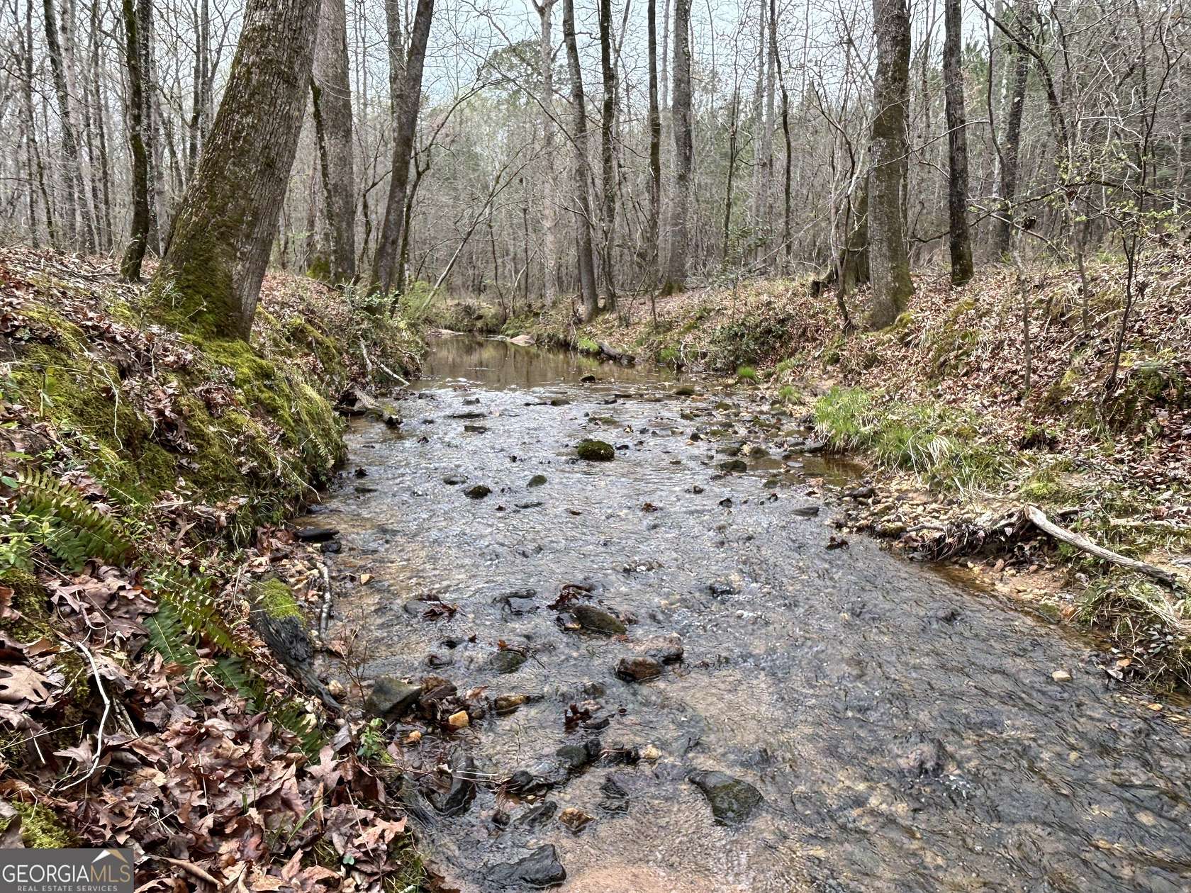 17.6 Acres of Land for Sale in Locust Grove, Georgia