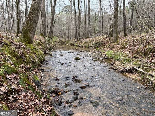 17.6 Acres of Land for Sale in Locust Grove, Georgia
