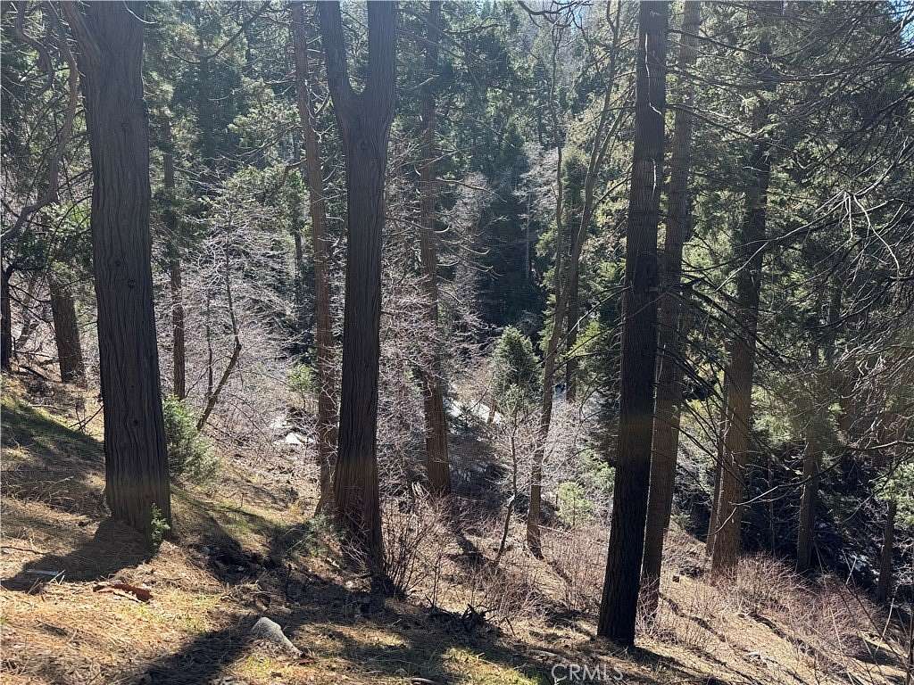 0.09 Acres of Land for Sale in Lake Arrowhead, California