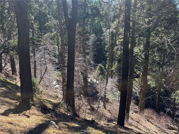 0.09 Acres of Land for Sale in Lake Arrowhead, California