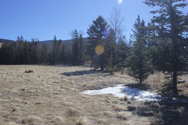 2.4 Acres of Residential Land for Sale in Angel Fire, New Mexico