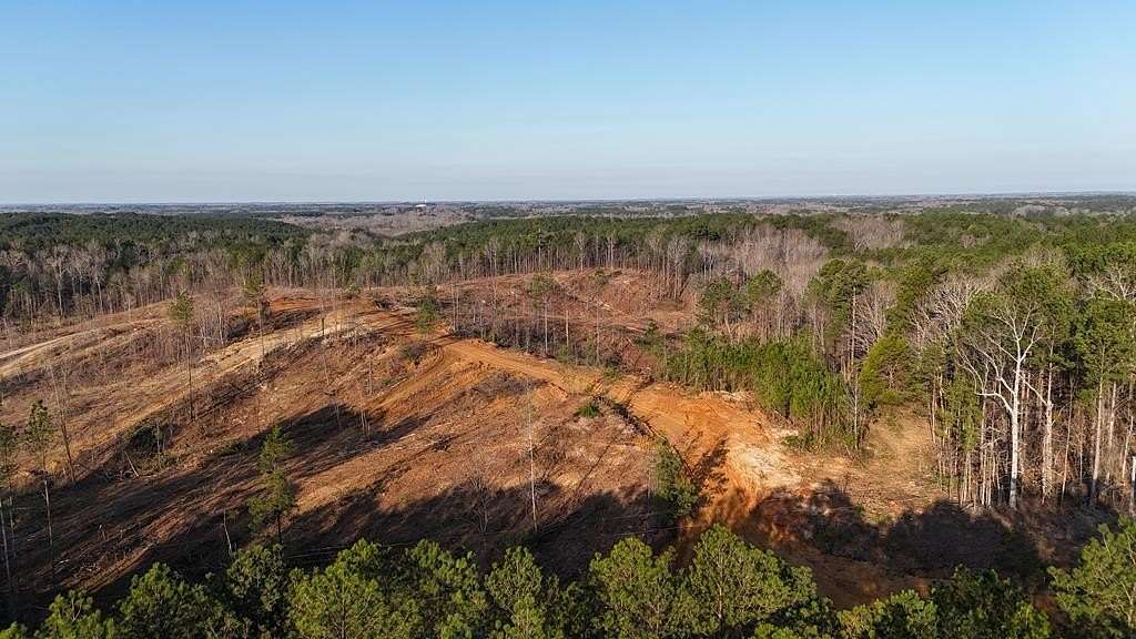 19.2 Acres of Recreational Land for Sale in Booneville, Mississippi