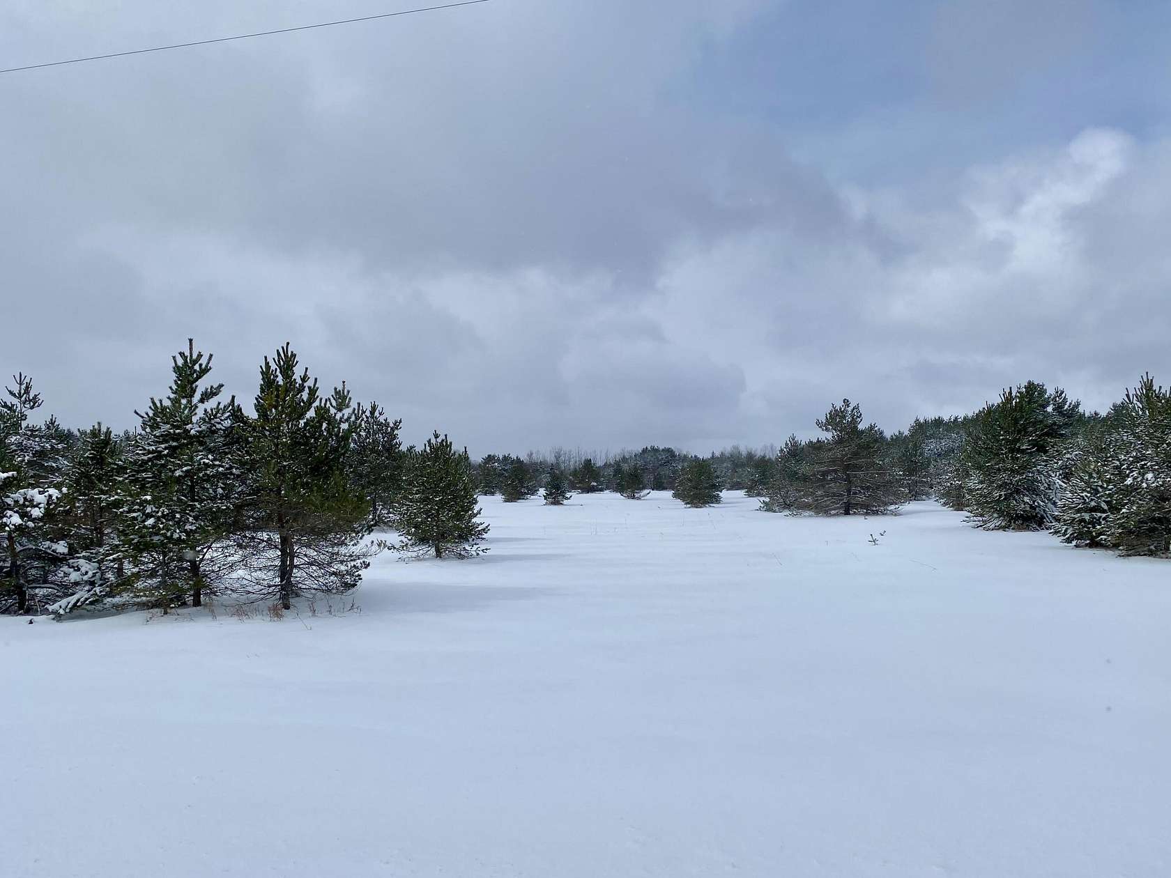 11.5 Acres of Land for Sale in Gaylord, Michigan