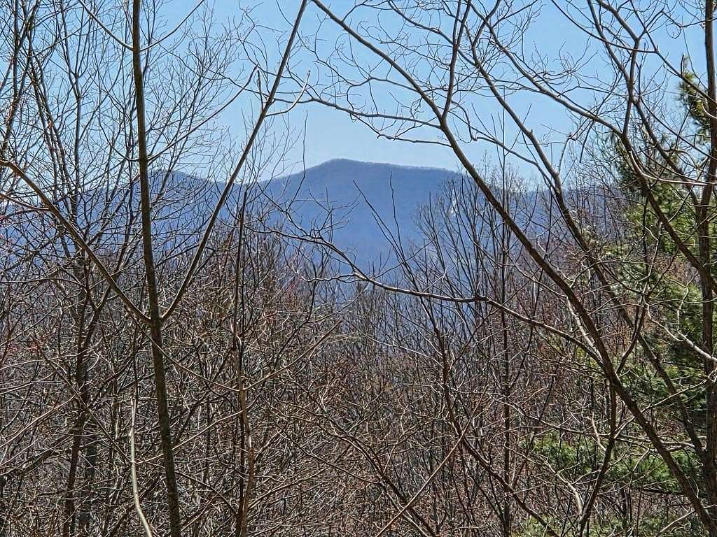 5.14 Acres of Residential Land for Sale in Millshoal Township, North Carolina