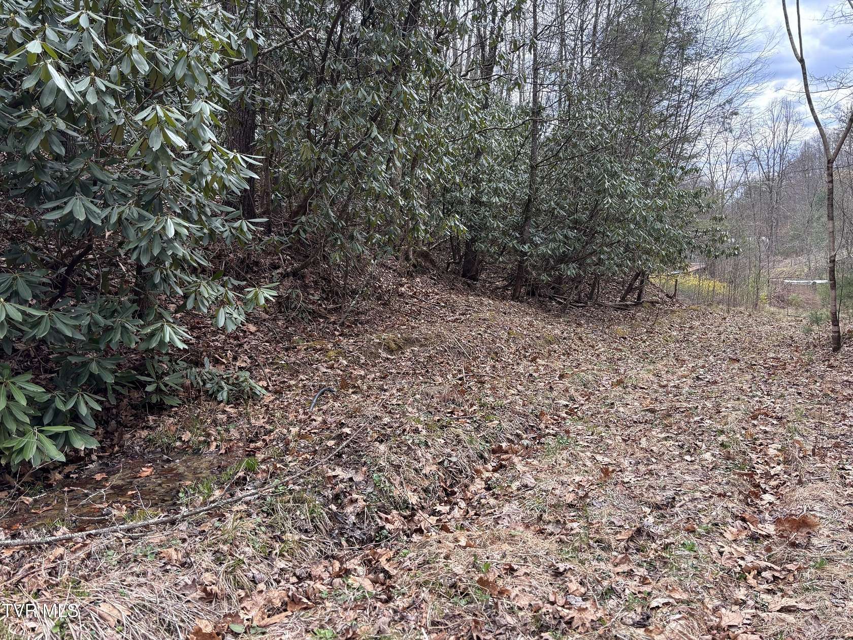 29.3 Acres of Land for Sale in Mountain City, Tennessee