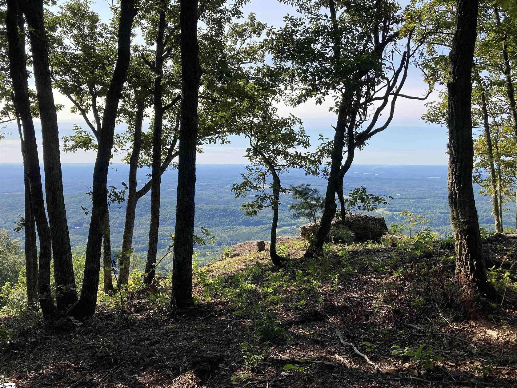 1.5 Acres of Residential Land for Sale in Landrum, South Carolina