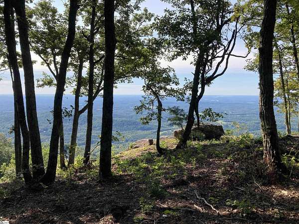 1.5 Acres of Residential Land for Sale in Landrum, South Carolina