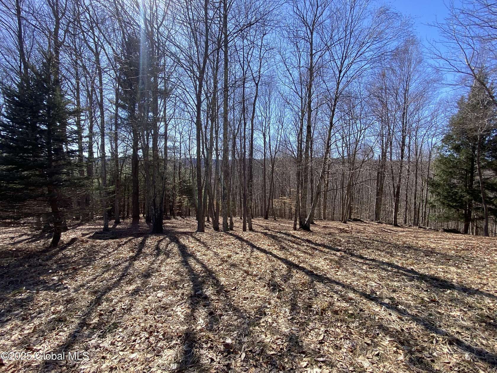 5.46 Acres of Residential Land for Sale in Andes, New York