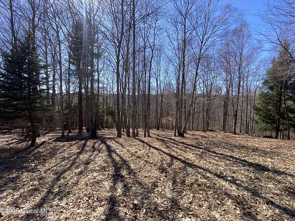 5.46 Acres of Residential Land for Sale in Andes, New York