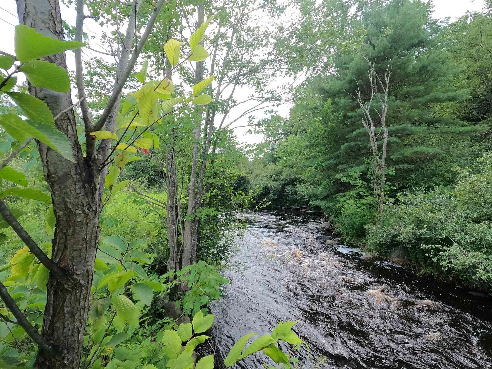 1.6 Acres of Residential Land for Sale in Templeton, Massachusetts