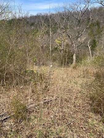 0.75 Acres of Residential Land for Sale in Hollister, Missouri