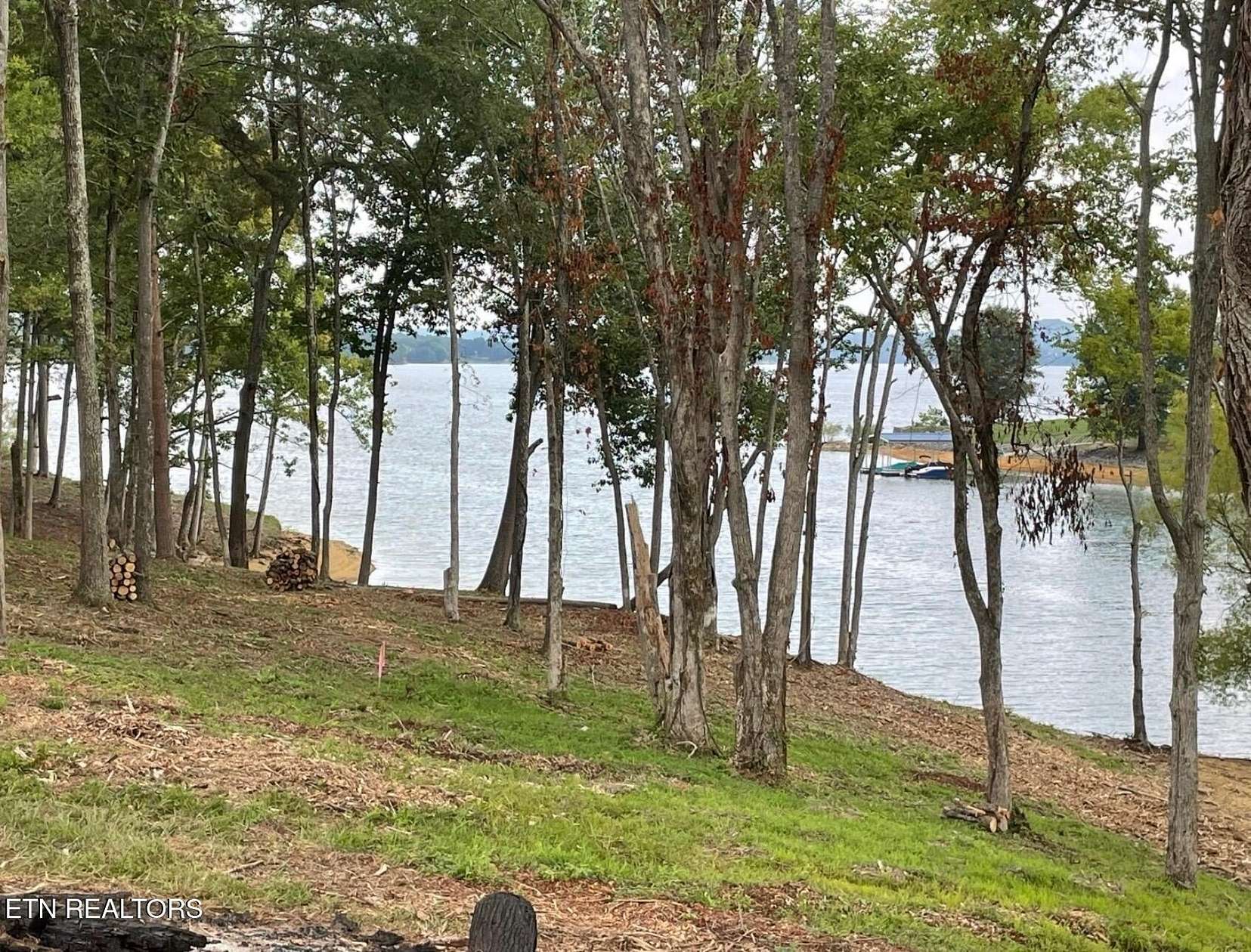 0.07 Acres of Residential Land for Sale in White Pine, Tennessee