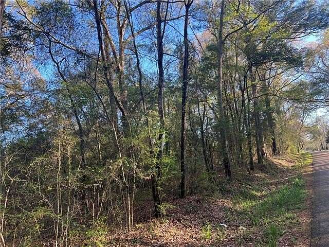 21 Acres of Land for Sale in Angie, Louisiana