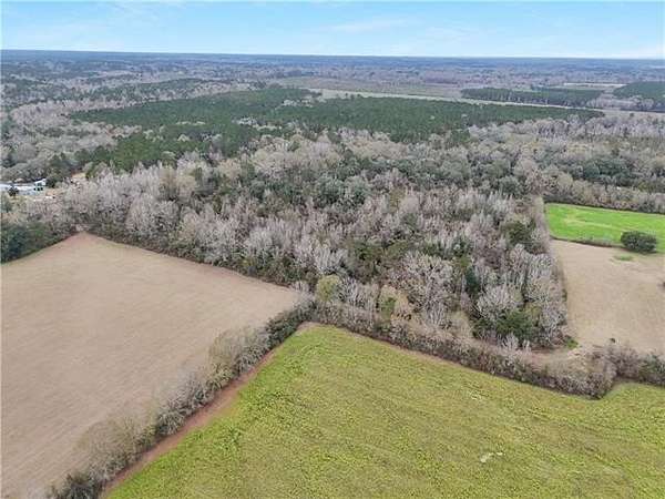 21 Acres of Land for Sale in Angie, Louisiana