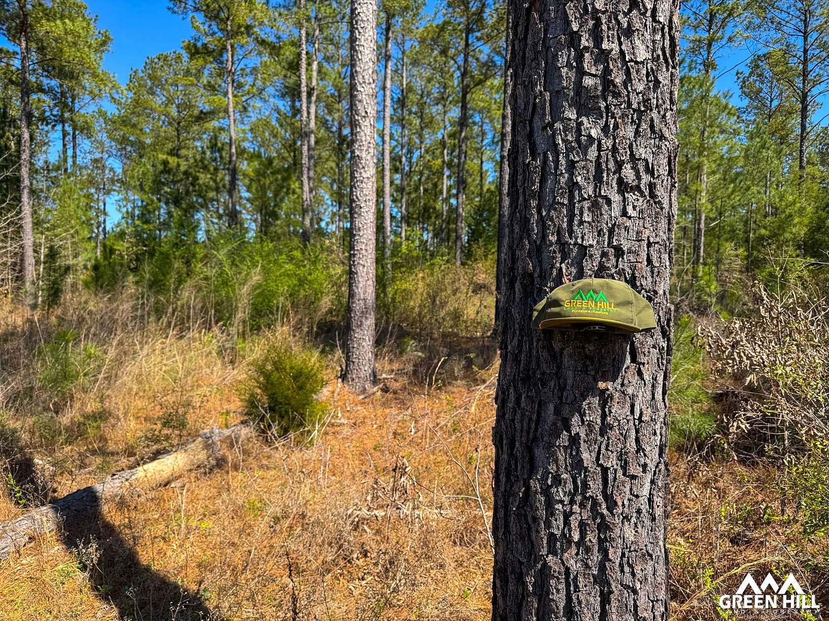 90 Acres of Land for Sale in Rupert, Georgia