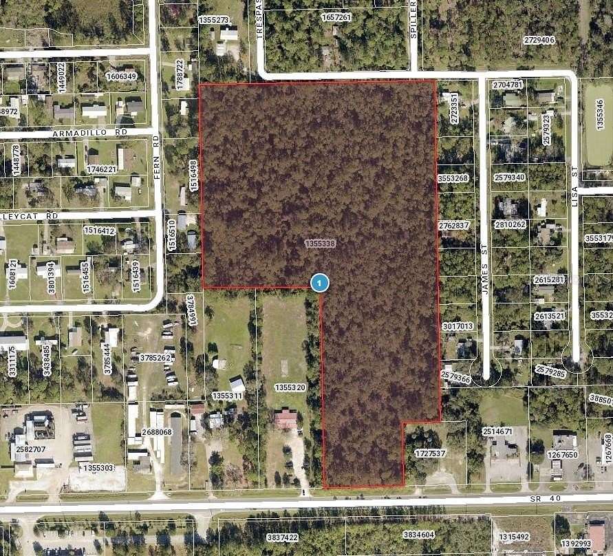 16.7 Acres of Land for Sale in Astor, Florida