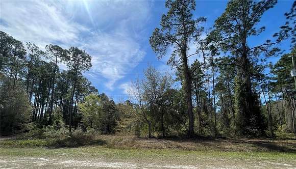 0.23 Acres of Residential Land for Sale in Georgetown, Florida