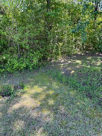 Field view 2
