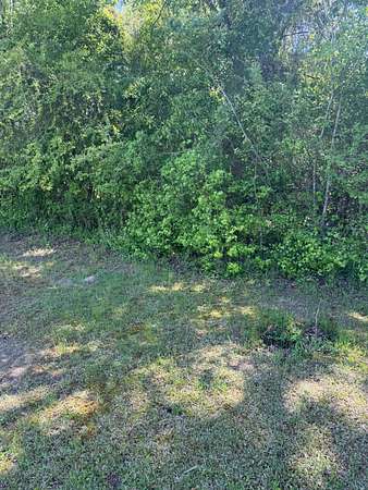 Field view 5