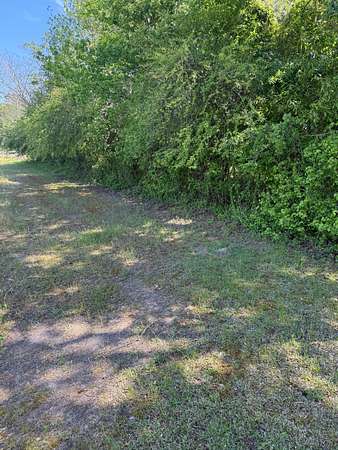 Field view 6