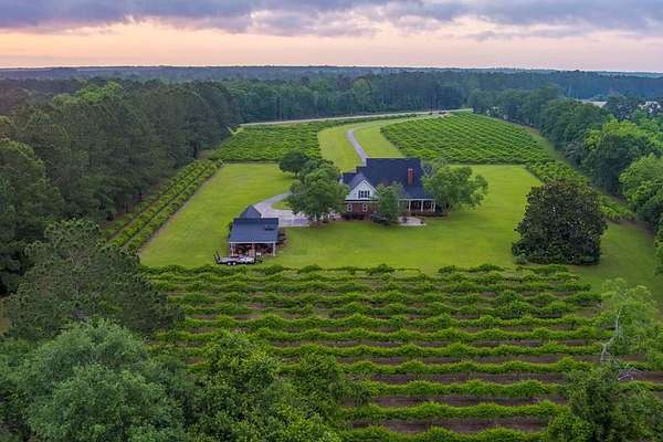 11.1 Acres of Land with Home for Sale in Nashville, Georgia