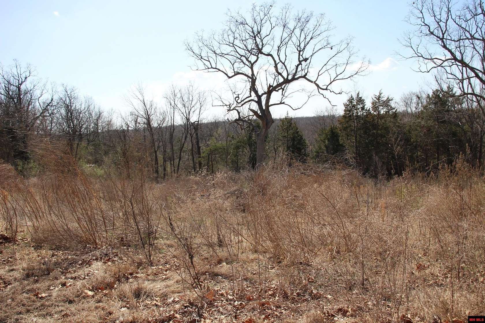 1.25 Acres of Residential Land for Sale in Mountain Home, Arkansas