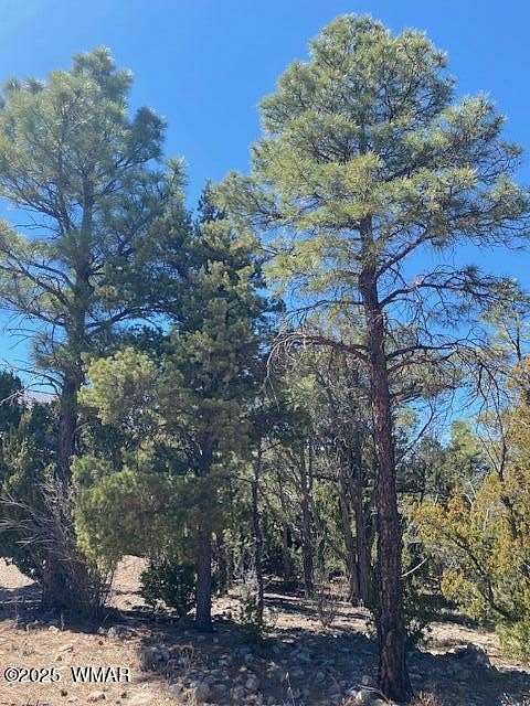 0.3 Acres of Residential Land for Sale in Show Low, Arizona