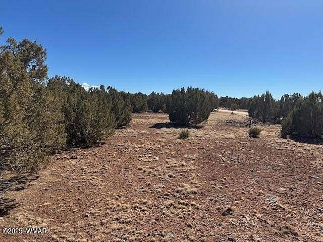 3.14 Acres of Residential Land for Sale in Concho, Arizona