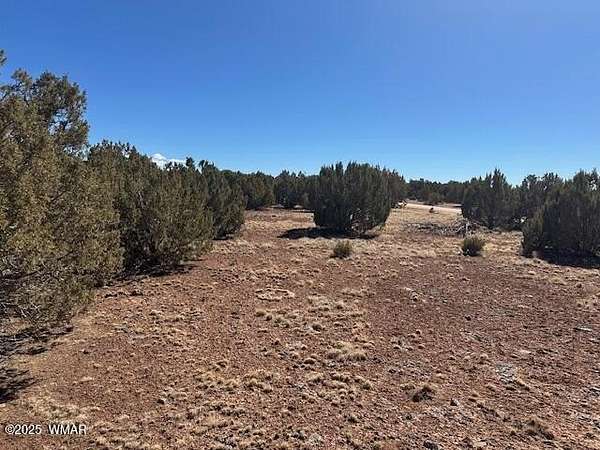 3.14 Acres of Residential Land for Sale in Concho, Arizona