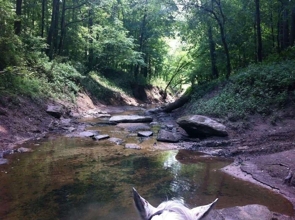 1,238 Acres of Recreational Land for Sale in Dewitt, Kentucky