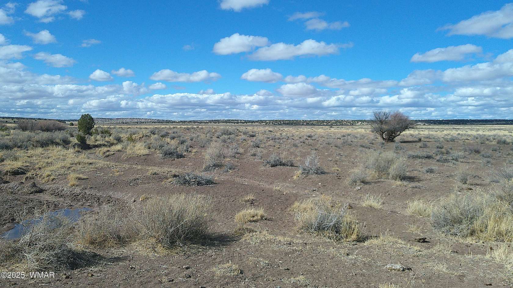 40.2 Acres of Recreational Land for Sale in St. Johns, Arizona