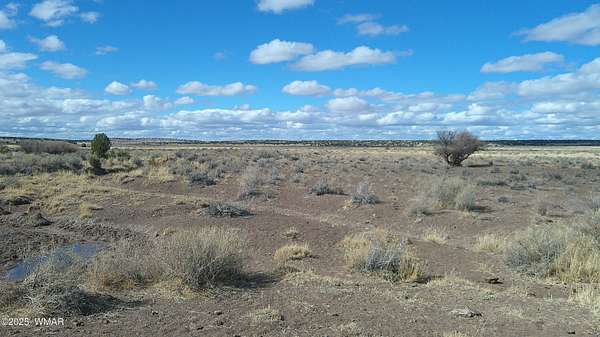 40.2 Acres of Recreational Land for Sale in St. Johns, Arizona