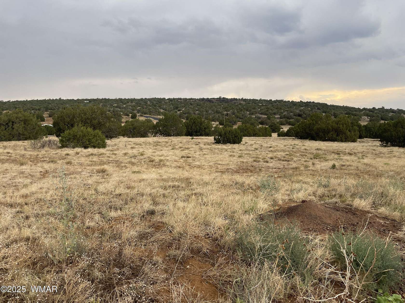 1 Acre of Residential Land for Sale in Concho, Arizona
