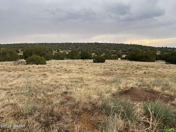 1 Acre of Residential Land for Sale in Concho, Arizona