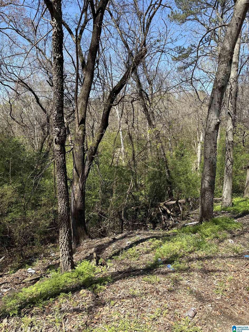 3.48 Acres of Land for Sale in Pleasant Grove, Alabama