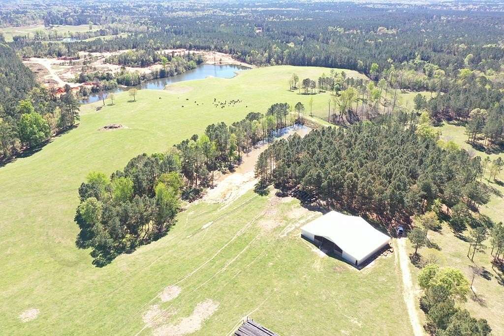 120 Acres of Land for Sale in Taylorsville, Mississippi