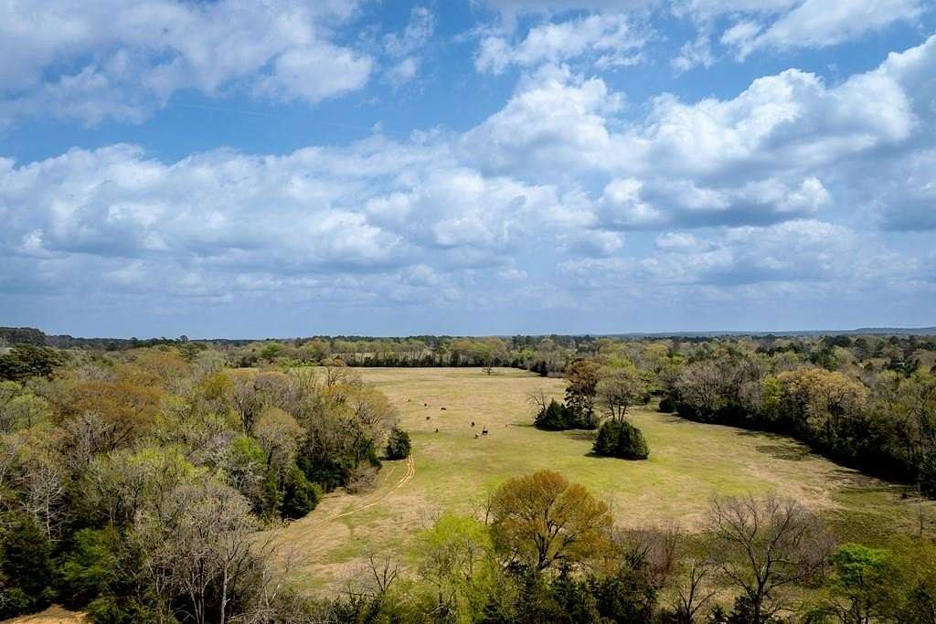 53 Acres of Land for Sale in Grapeland, Texas