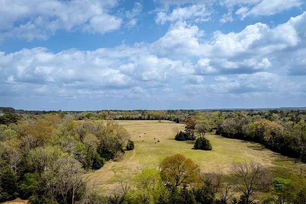 53 Acres of Land for Sale in Grapeland, Texas