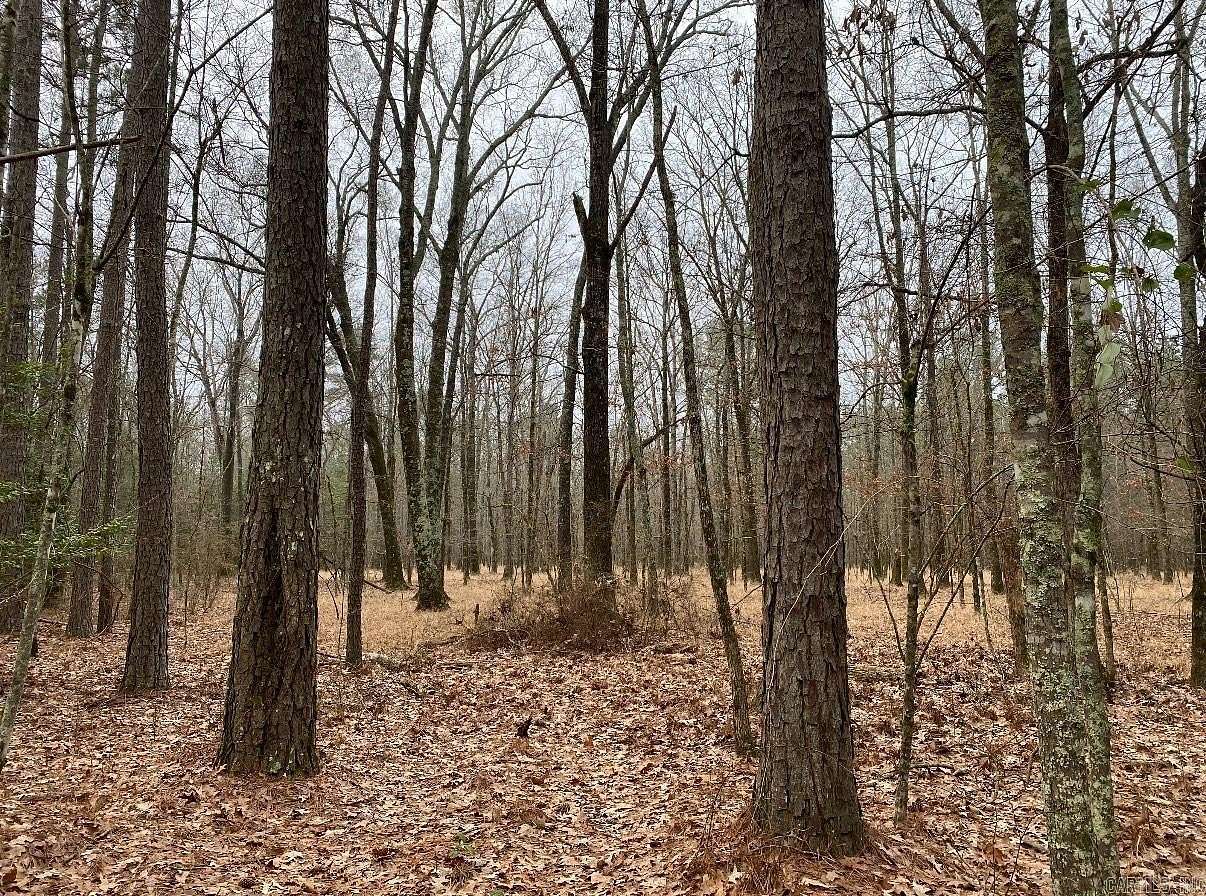 9.66 Acres of Land for Sale in Johnsville, Arkansas