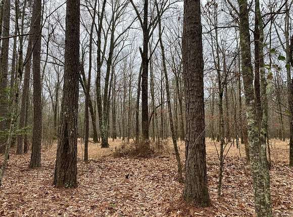 9.66 Acres of Land for Sale in Johnsville, Arkansas