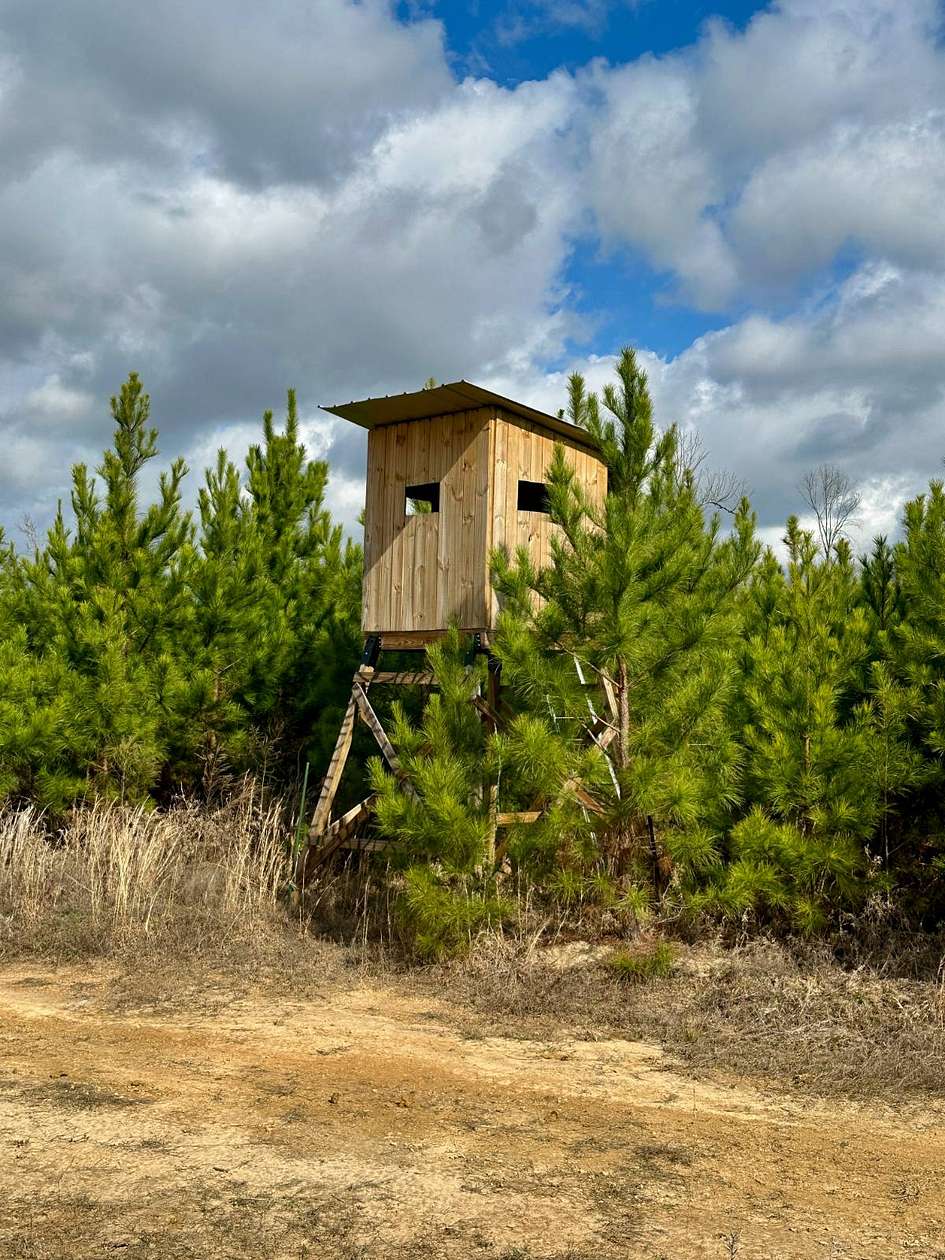 127 Acres of Recreational Land for Sale in Pachuta, Mississippi