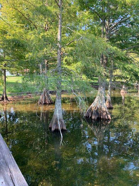 0.87 Acres of Land for Sale in St. Joseph, Louisiana