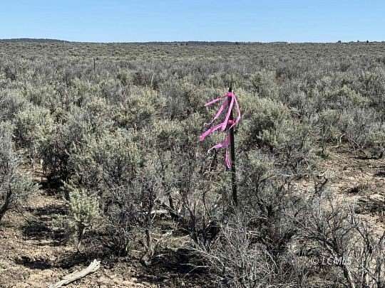 165 Acres of Recreational Land for Sale in Christmas Valley, Oregon