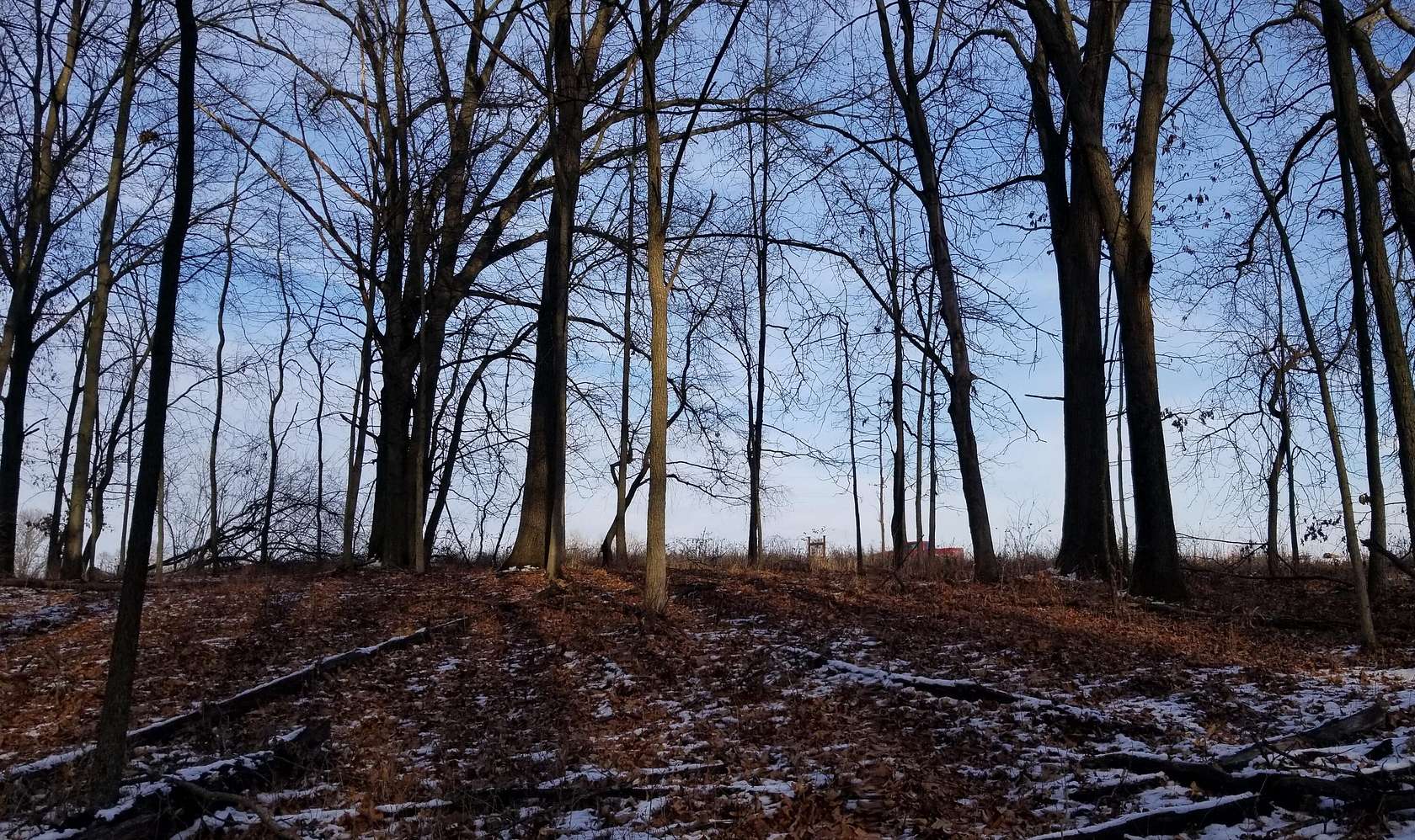 3 Acres of Residential Land for Sale in Chelsea, Michigan