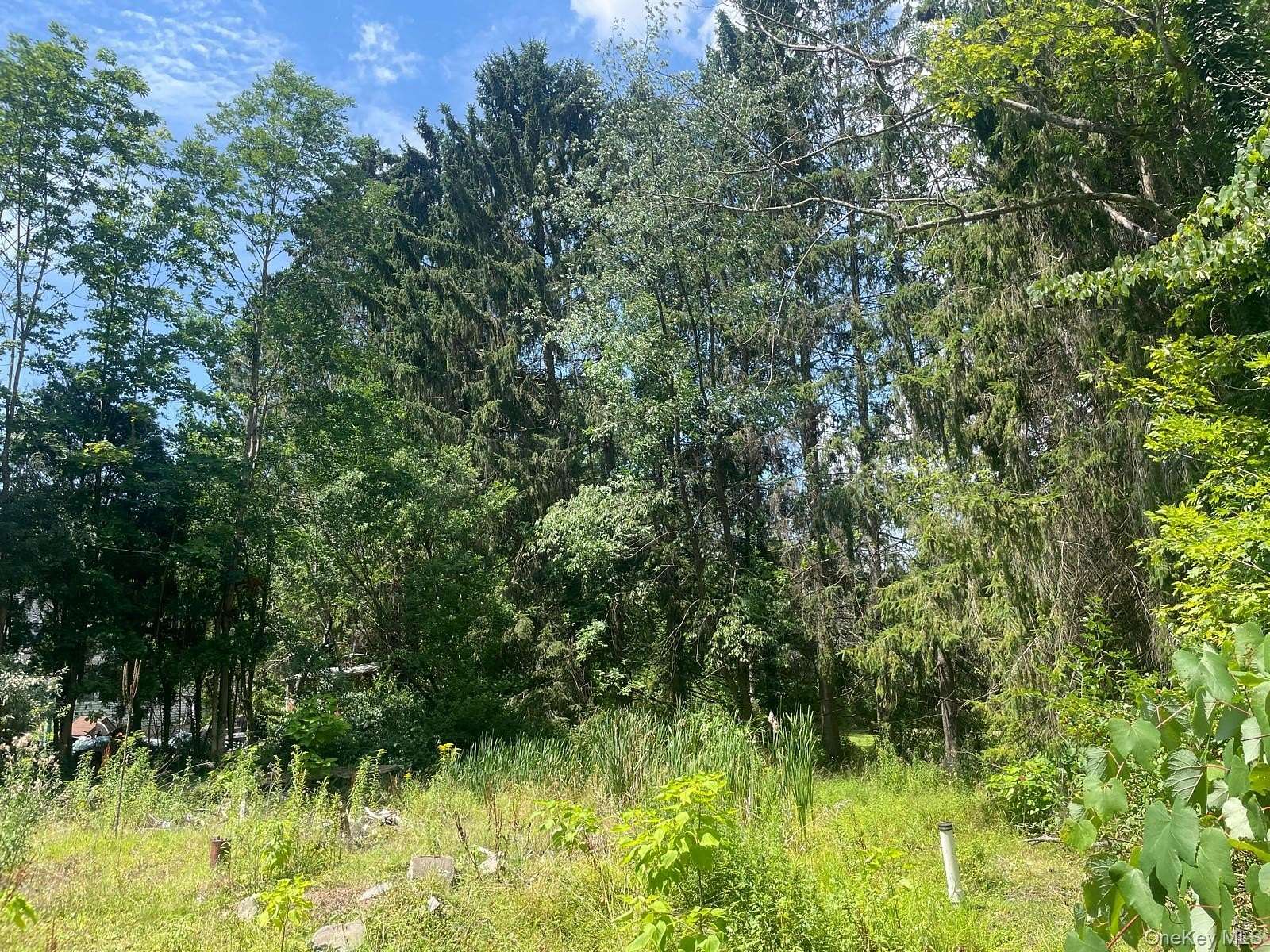 0.2 Acres of Residential Land for Sale in Harveys Lake, Pennsylvania