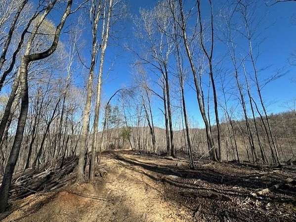 Land for Sale in Allons, Tennessee