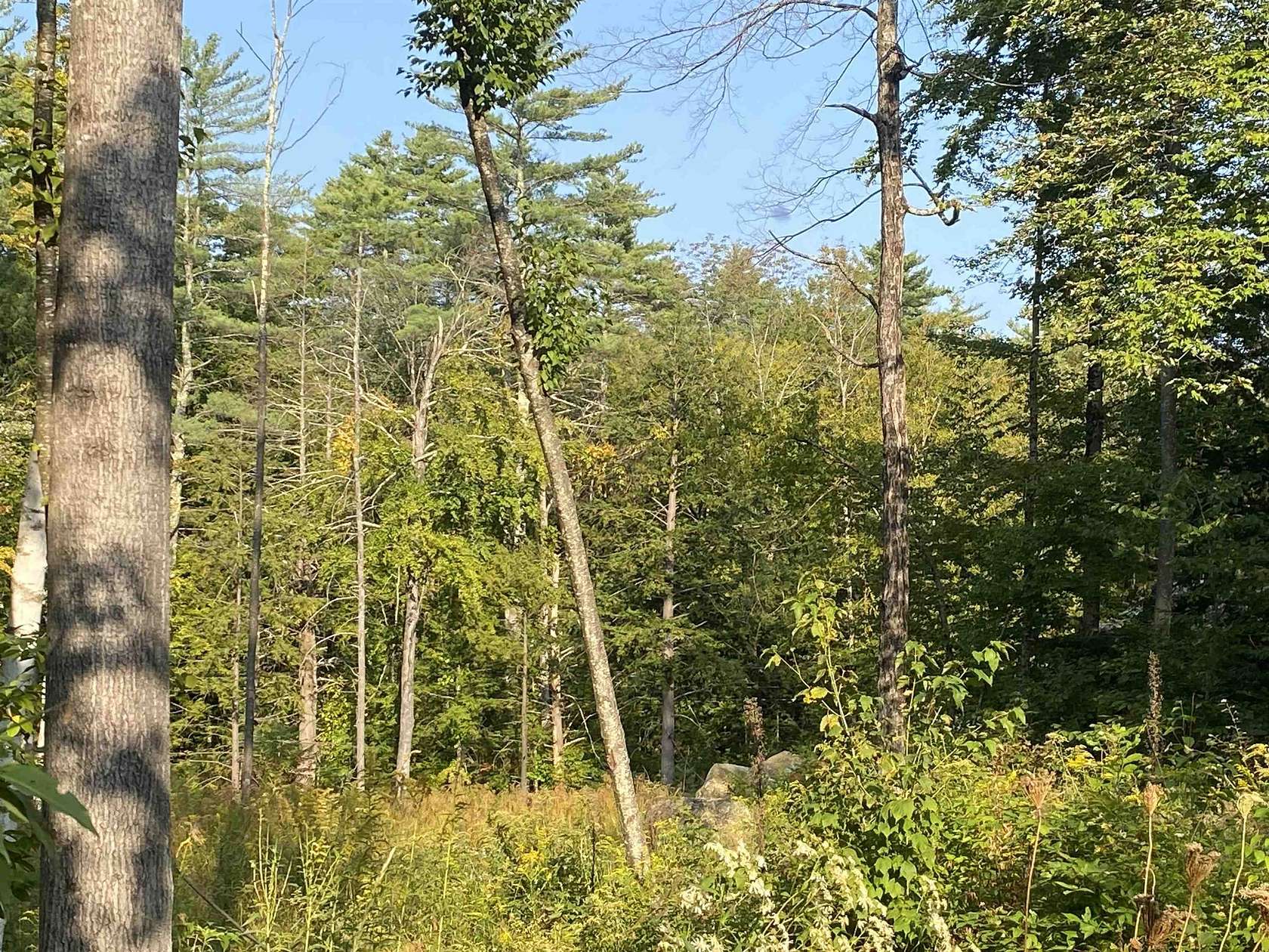 0.48 Acres of Residential Land for Sale in Hillsborough, New Hampshire