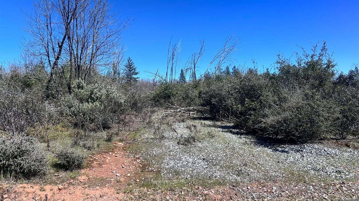 2.5 Acres of Residential Land for Sale in Mokelumne Hill, California