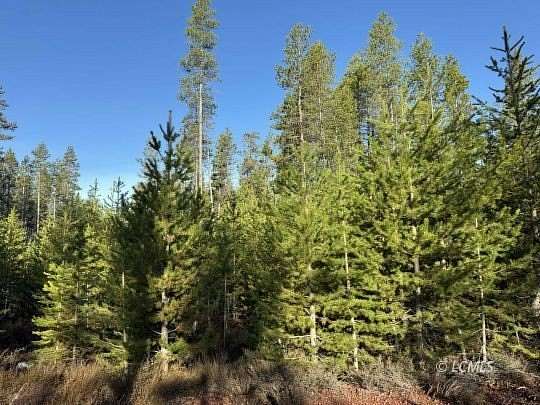 1 Acre of Residential Land for Sale in Chiloquin, Oregon